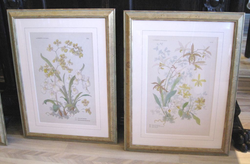 Set of Four 19th Century Art Nouveau Prints