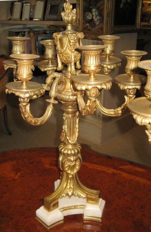 A magnificent pair of dore bronze six arm candelabra with marble bases. Intricate details include shells, acanthus leaves and laurel leaf elements. The bases are triform and each leg is fluted, ending in a Greek key scroll. There is a berry finial