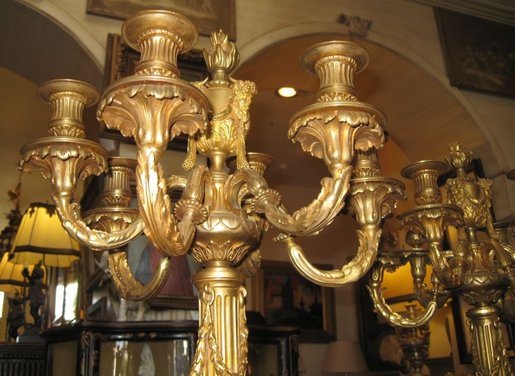 Pair of French Dore Bronze Candelabra For Sale 4