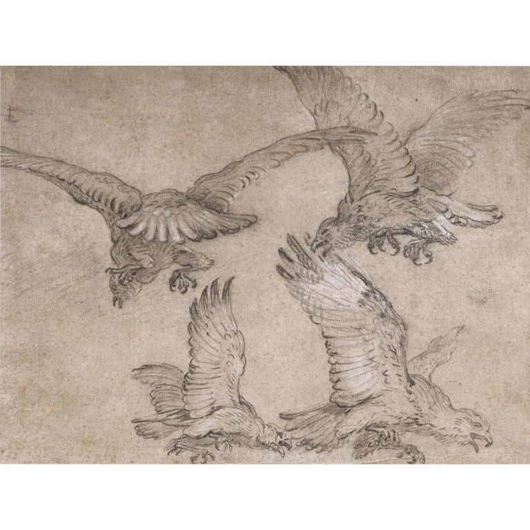 Study of Eagles by Jean-Baptiste Oudry For Sale