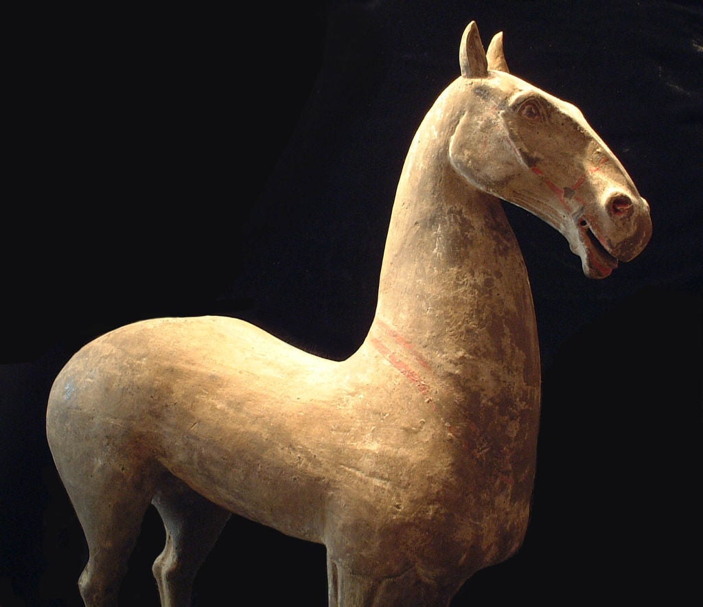 Chinese Han Horse