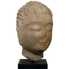 Northern Qi Buddha Head