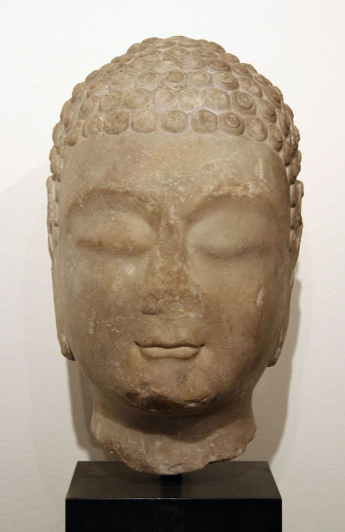 Limestone head of a Buddha, of exceptional composure and presence. This elegant carving features the half-closed eyes, serene expression, enigmatic lips, and tiny 