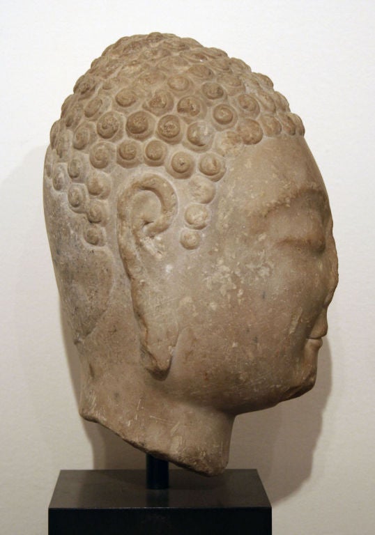 18th Century and Earlier Northern Qi Buddha Head For Sale