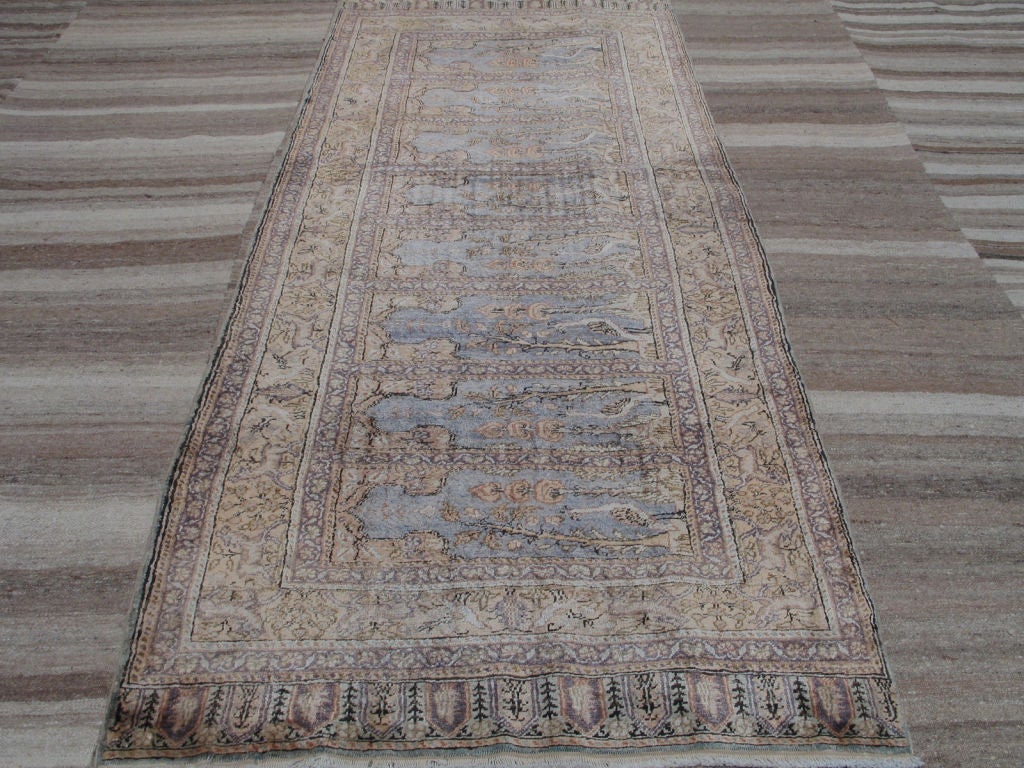 "Saph" Runner