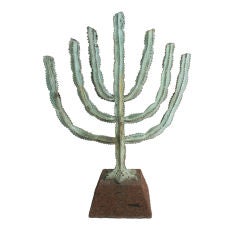 Dina Frumin "Cactus Candelabra" Mexico 1966