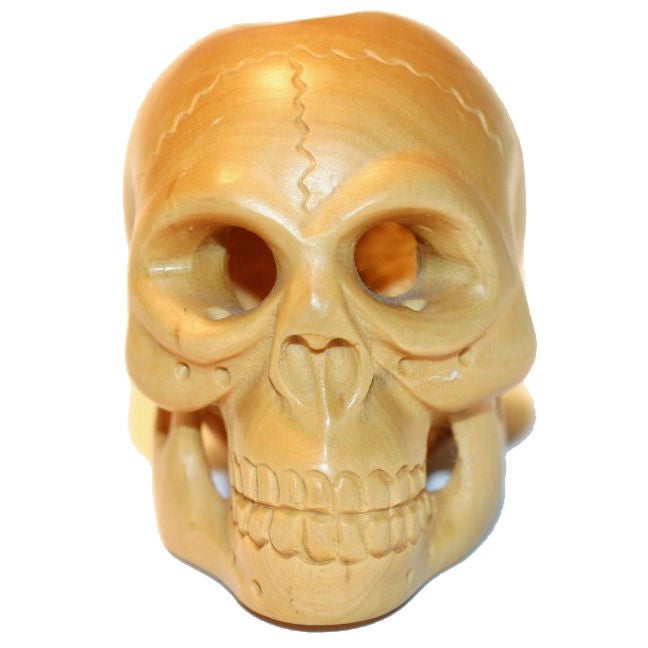 Skull For Sale