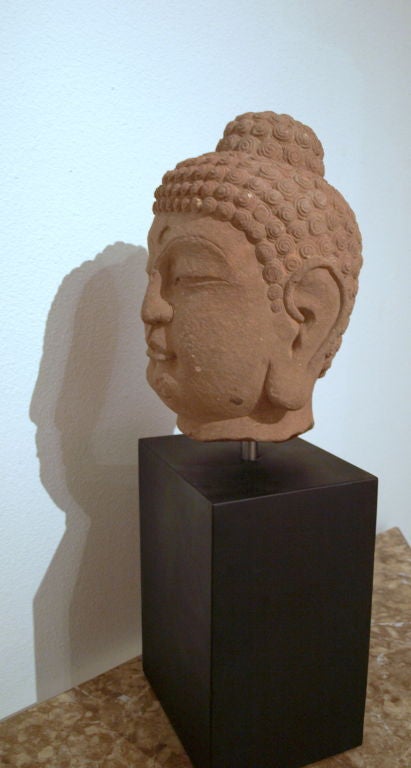 Chinese Impressive 18th Century Sandstone Buddha Head For Sale