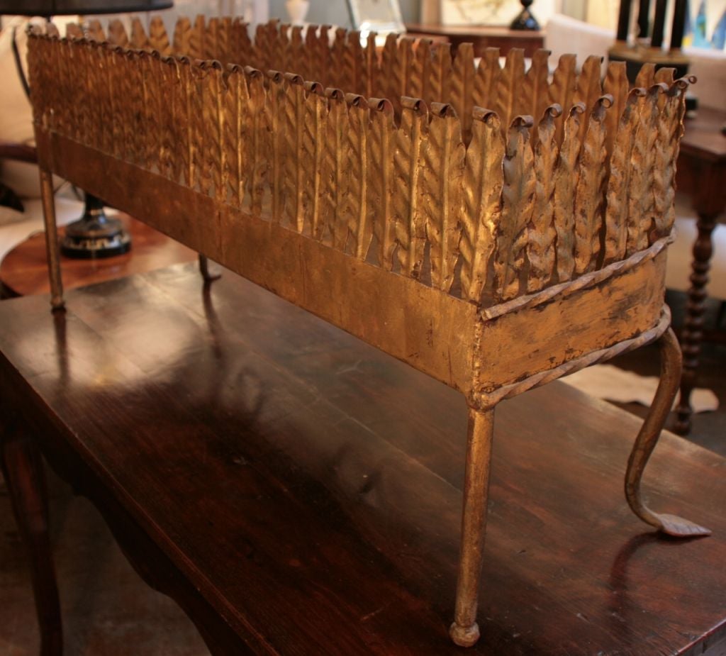 Beautiful Spanish Art Deco period jardiniere in gilded tole and iron with acanthus leaf detail.