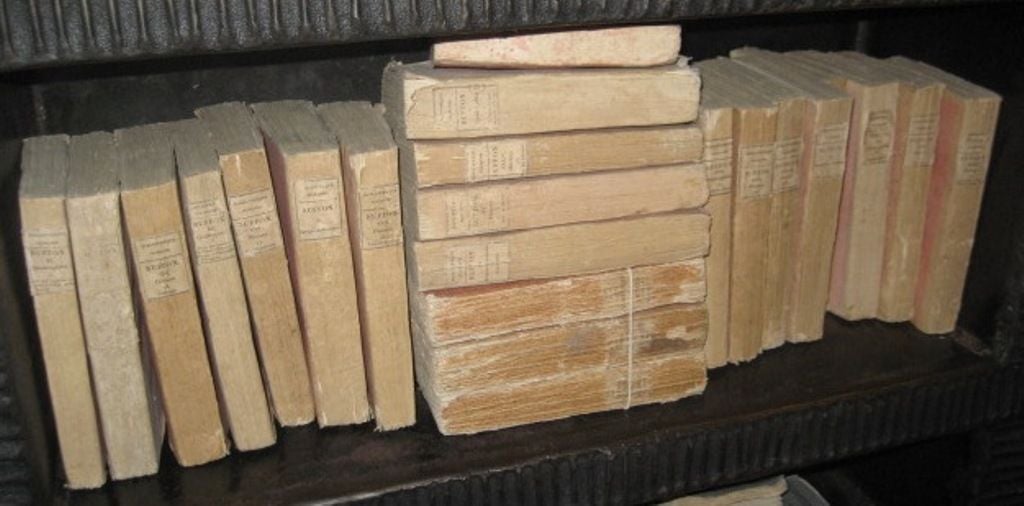 Vieux livres Buffon de France vers 1825 avec couvertures et étiquettes rouges d'origine. 