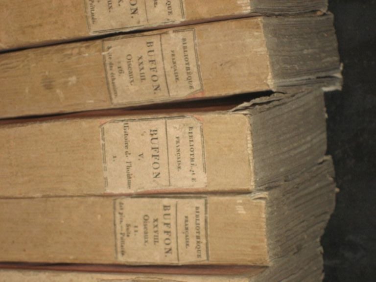 XIXe siècle Livres mousseline vintage en vente