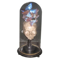 Domed Skull with Butterflies