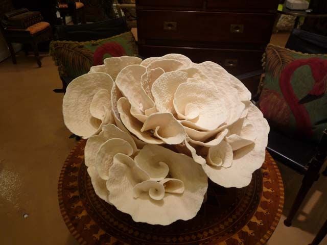 A very large cup coral centerpiece, designed for a low or cocktail table. Designed and executed by us.