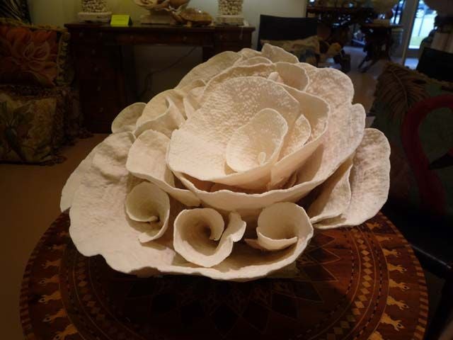 American Very Large Cup Coral Centerpiece