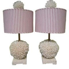 Pair of Delightful Birdsnest Coral Lamps
