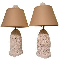 Pair of Lace Coral Lamps and Finials with Coquina Stone Bases