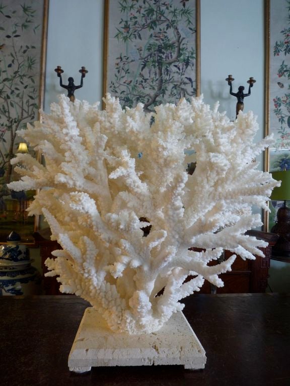A large, impressive and decorative white branch coral tree, mounted on a coquina stone base. Designed and executed by us.  Contemporary.<br />
<br />
Please visit our website at www.fshenemaderantiques.com .