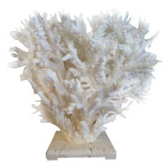Large and Decorative White Branch Coral Centerpiece