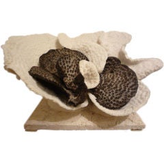 Dramatic Black and White Cup Coral Sculpture or Centerpiece