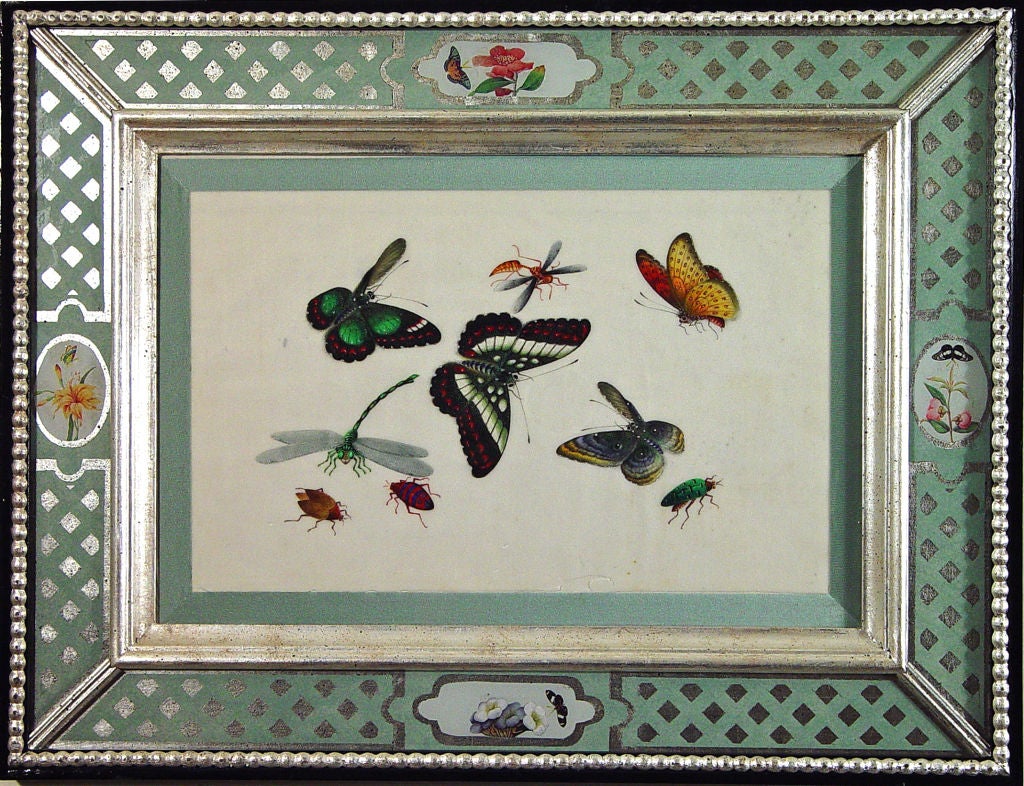 The six watercolours are painted with butterflies and insects on pith paper within blue silk ribbons.  The frame is an aqua colour ground on an églomisé border with decoupage flowers.<br />
<br />
China Trade watercolours, although produced as