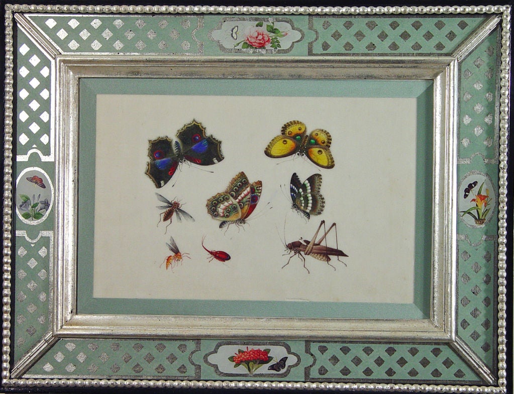 19th Century A Set of Six Chinese Watercolours of Butterflies and Insects