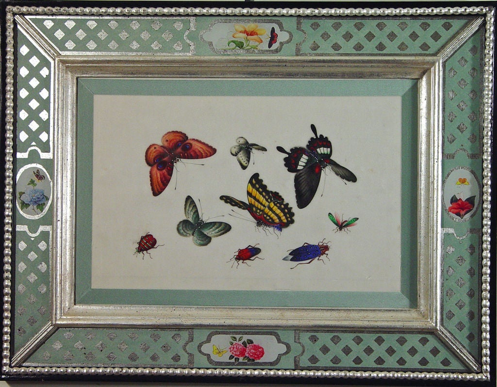 A Set of Six Chinese Watercolours of Butterflies and Insects 1