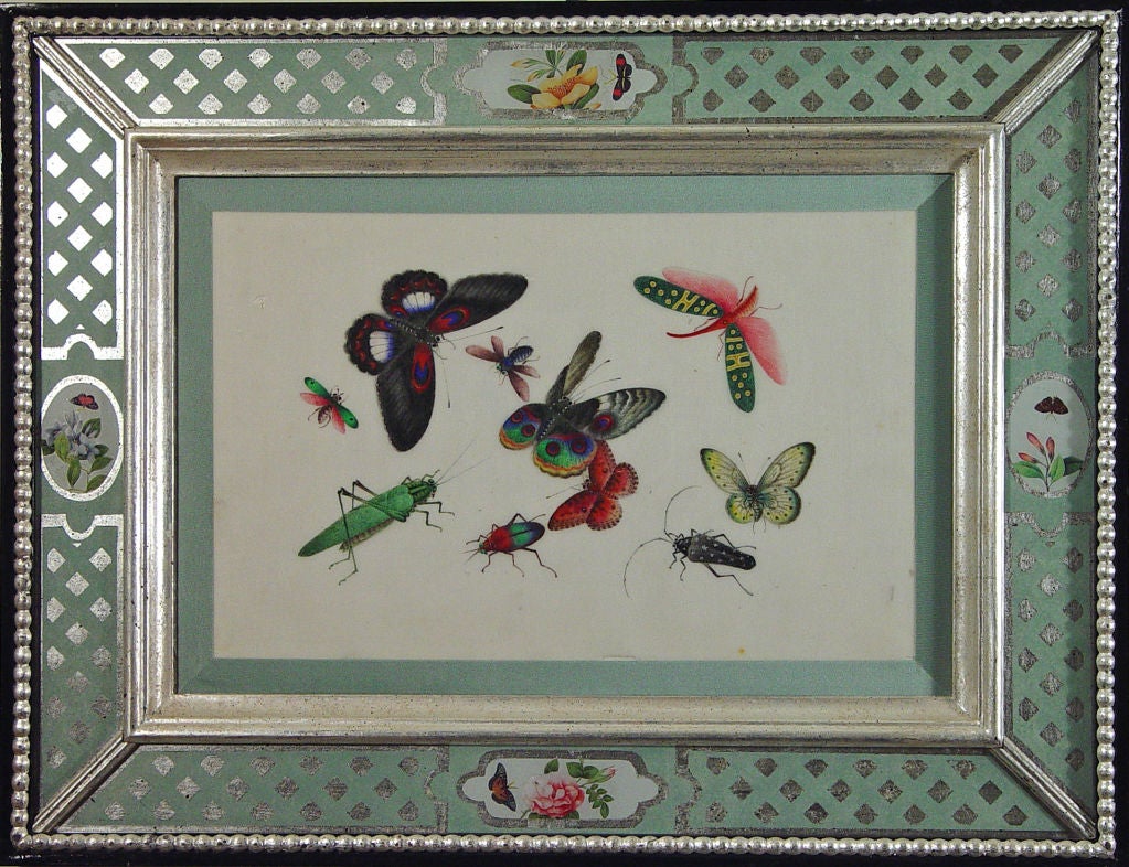 A Set of Six Chinese Watercolours of Butterflies and Insects 2