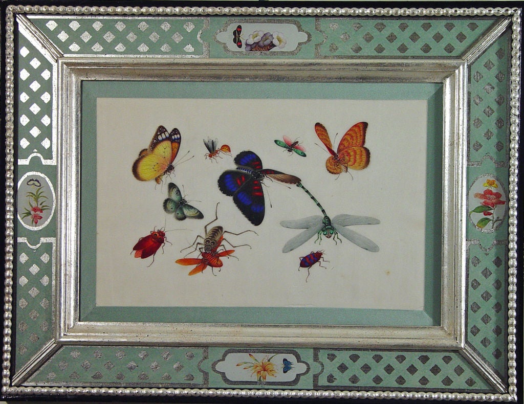 A Set of Six Chinese Watercolours of Butterflies and Insects 3