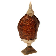 Anthony Redmile Polished Turtle Shell
