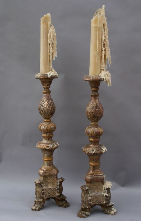 Tall 19th Century Pair Giltwood Alter Sticks