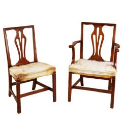 Set of 12 Chippendale Style Mahogany Dining Chairs