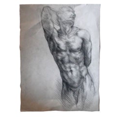 NUDE MALE STUDY in CHARCOAL BY SABATINO ABATE