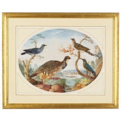 An Oval Feather Picture On Watercolour An Oval Feather Picture On Watercolour