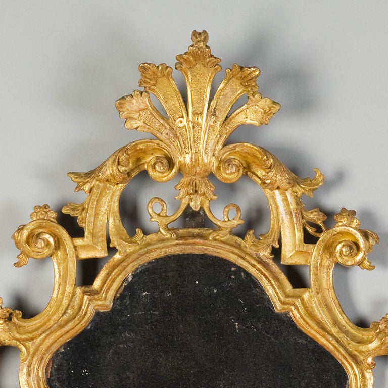A rare pair of mid 18th century Venetian giltwood girandoles each surmounted by a stylised anthemian cresting supported by scrolls each in turn enriched with foliate carving and subsidiary scrolls. The mirror plates are original and are framed by a