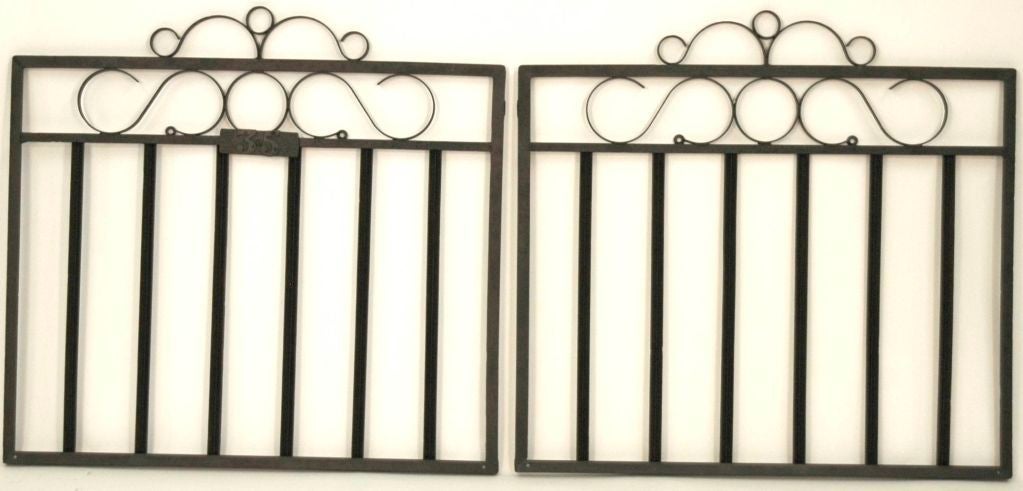 English Metal Garden Gate/Twin Headboards