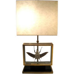 Scarab Table Lamp