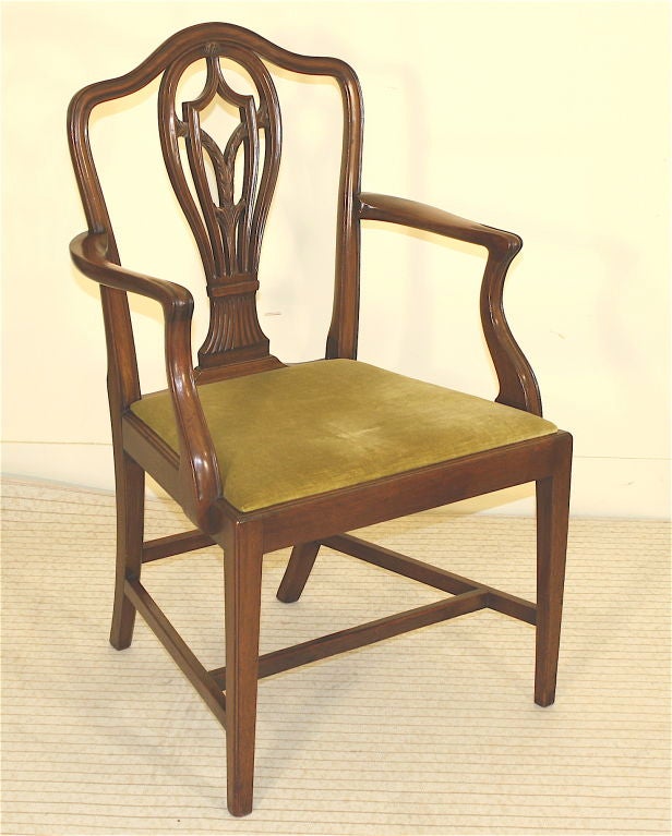 8 Hepplewhite Carved Mahogany Dining Chairs