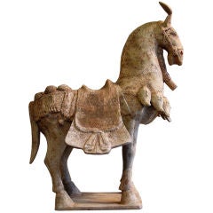 A pottery horse from the Northern Chi Period. 9550-577 A.D.0