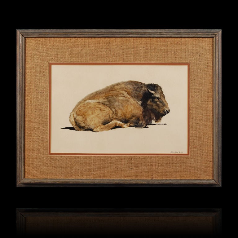 Collection of Original Buffalo Paintings signed by the Artist