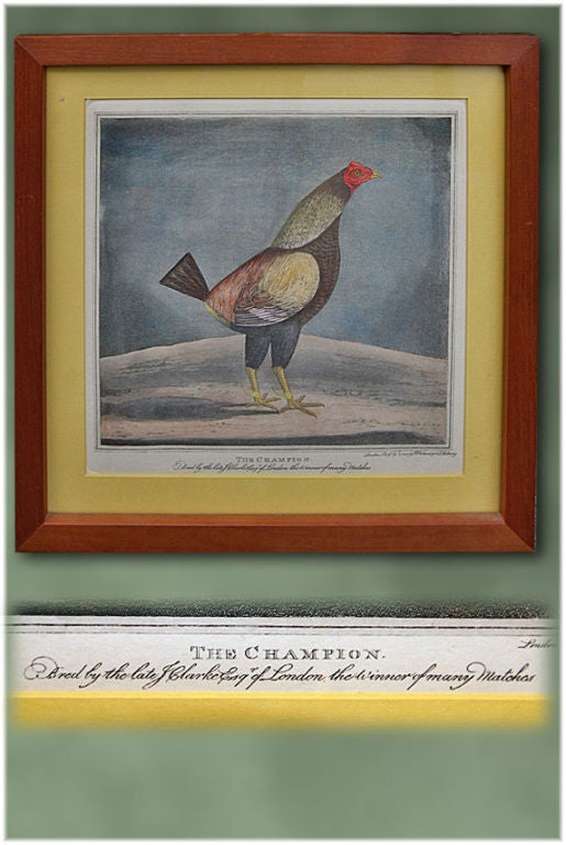 Pair of 19th C. English Engravings of Game Roosters
