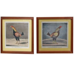 Pair of 19th C. English Engravings of Game Roosters