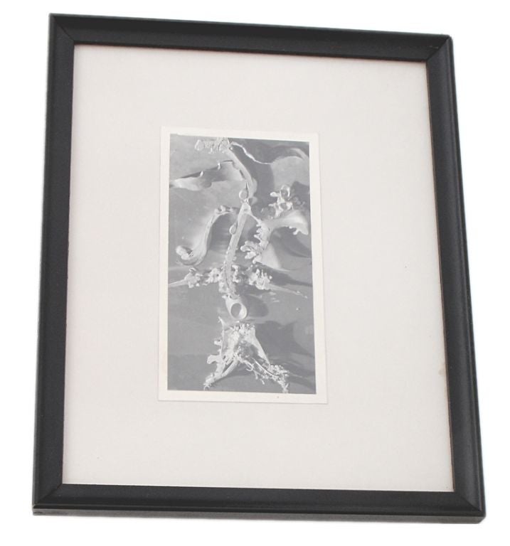Theodore Roszak - Abstract Gelatin Silver Print Photograph