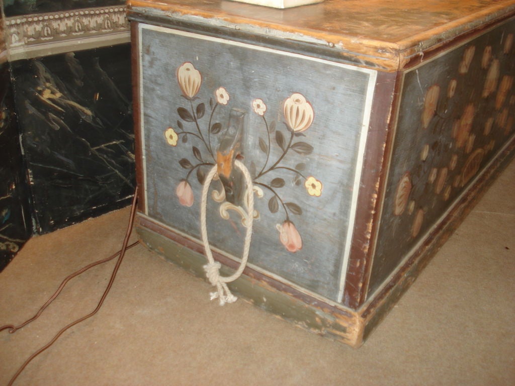 19th Century Decorated Blanket or Sea Chest For Sale