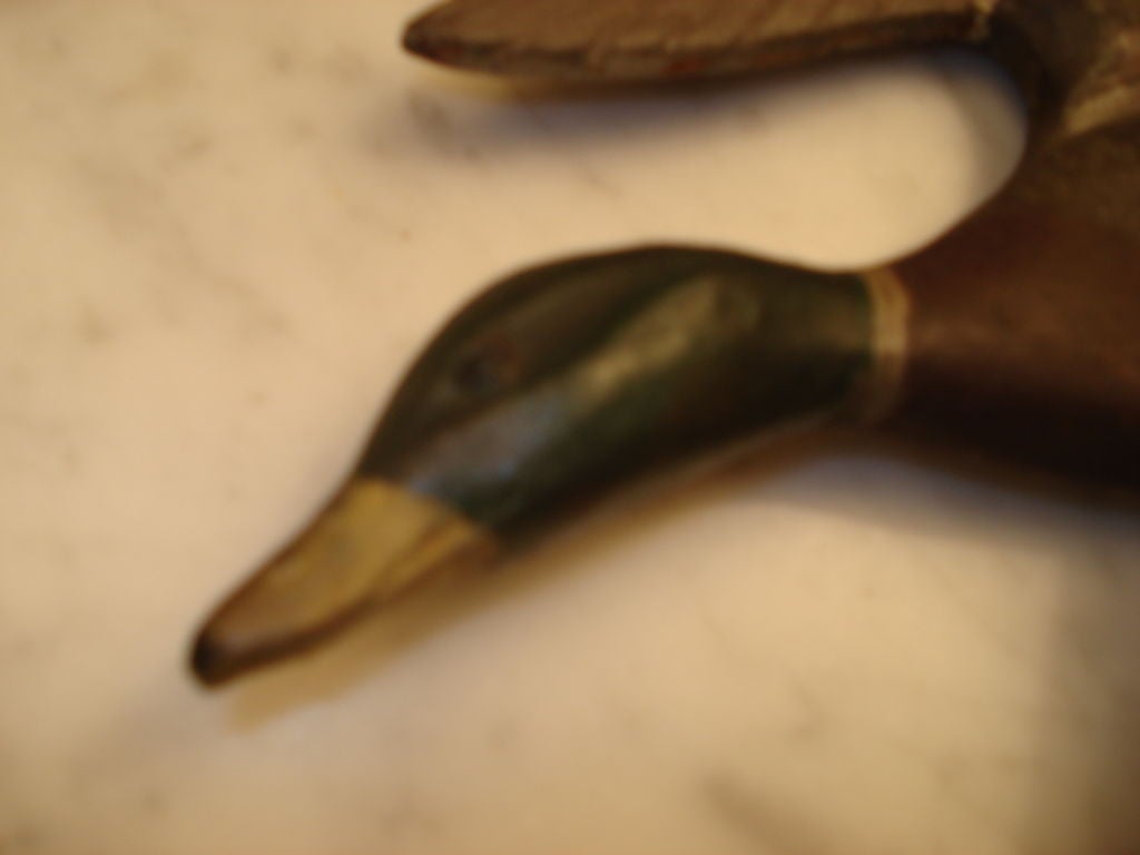 Carved Flying Duck Wall Plaque