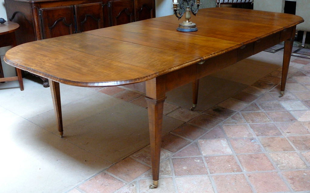 Extremely Rare 19th Century ”Curly Maple” Extending  Dining Table.   Drop leaf dining table with three leaves over straight tapering chamfered legs, All made of solid, highly figured curly maple with a deep golden color and rich patination. Possibly