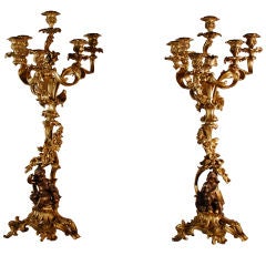 Pair of 6 Arm Rococco Revival Candelabras