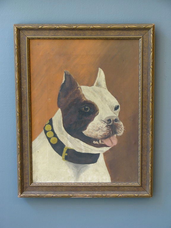 Folk painting of a Boston Terrier or possibly a Pit Bull depending on the interpretation and crude skill of the painter. Oil on canvas with great color and graphic collar detail.  Unsigned. American circa 1940-1950