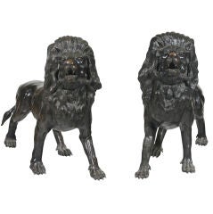 Vintage A Pair of Bronze Lions