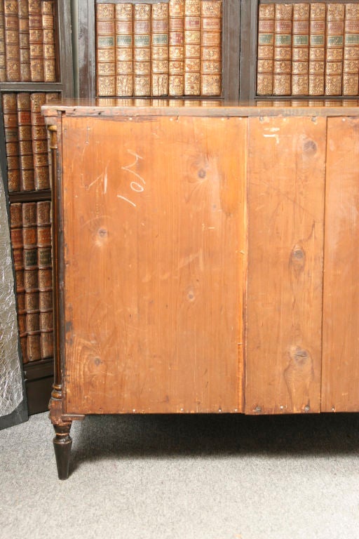 19th Century Pair of Regency Period Side Cabinets