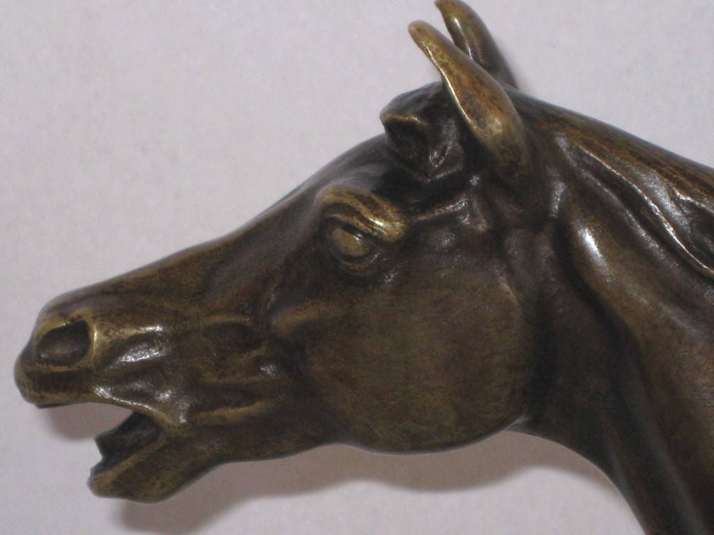 Bronze Figure of an Arab Horse Signed by Pierre Jules Mêne 3